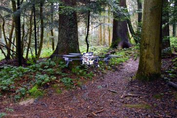 Drohnen suchen selbständig auf Waldwegen nach Vermissten.
Quelle: UZH; USI; SUPSI (idw)
