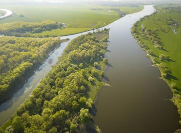 Saalemündung in die Elbe. In den vier größten Flüssen Norddeutschlands Elbe, Weser, Aller und Ems werteten Wissenschaftler über einen Zeitraum von 10 Jahren Daten aus, um den ökologischen und chemischen Zustand zu bestimmen. Bild: André Künzelmann/UFZ