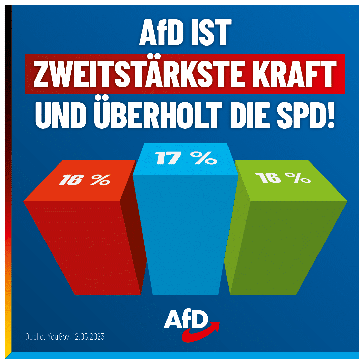 Bild: AfD Deutschland