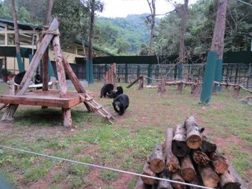 Ein Außengehege des Animals Asia Rettungszentrums für Bären in Vietnam. Davon gibt es mehrere und sie sind wichtiger Bestandteil dieser Einrichtung. Die hier lebenden Bären sind oft Wildtiere und kommen aus ehemaligen Gallefarmen, können aber nie wieder in ein freies Leben entlassen werden. Die Freigehege sind wichtige Voraussetzung für ein möglichst artgerechtes Leben dieser Tiere.   Bild: "obs/Animals Asia Foundation e.V."