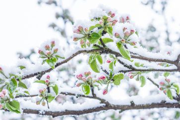 Aprilwetter Bild: WetterOnline Meteorologische Dienstleistungen GmbH Fotograf: WetterOnline