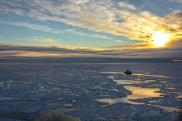 Polarstern in der Zentralarktis (Position ca. 83° N, 130° O): Die AWI-Forscher haben gemessen, dass überwiegend einjähriges dünnes Meereis die Arktis im Sommer 2012 dominiert. Die Eisdecke ist von von offenen Wasserflächen durchzogen, auf dem Meereis finden sich viele Schmelztümpel.
Quelle: © St. Hendricks, Alfred-Wegener-Institut (idw)