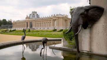 Das Königliche Museum für Zentralafrika (KMZA) im belgischen Tervuren  Bild: ZDF/kobalt production Fotograf: Florian Henke