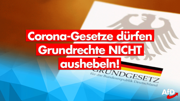 Corona-Maßnahmen zum Teil verfassungswidrig – zum Schaden für Rechtsstaat und Demokratie!