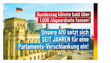 Bild: AfD Deutschland