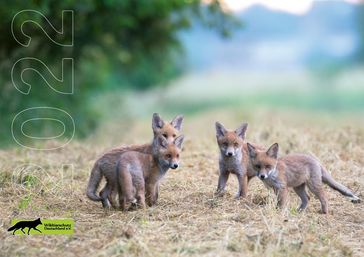 Bild: Wildtierschutz Deutschland e.V. Fotograf: Timo Litters, Wildtierschutz Deu