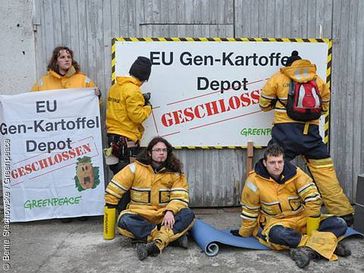 Bild: Bente Stachowske / Greenpeace