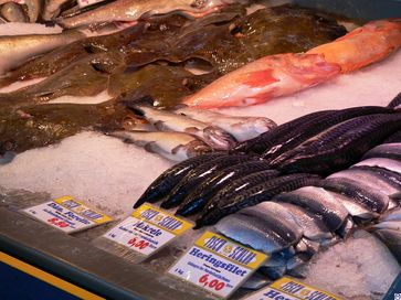 Speisefisch