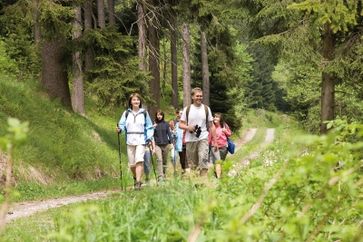 Bild: Wandern im Erzgebirgswald - Tourismusverband Erzgebirge e.V.