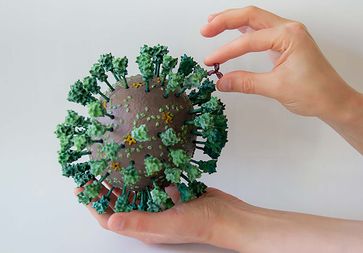 Foto 1: das 3D-Modell des neuen Coronavirus SARS-CoV-2 und eines Antikörpers, 1.000.000-fach vergrößert.
Quelle: Rudolf-Virchow-Zentrum (idw)