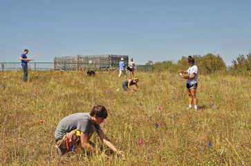 Die Doane audubon Spring Creek Prairie site in Nebraska ist typisch für das Prärie-Grasland, das einst weite Teile des Mittleren Westens der USA bedeckte. Quelle: Foto: Ramesh Laungani, Doane College (idw)