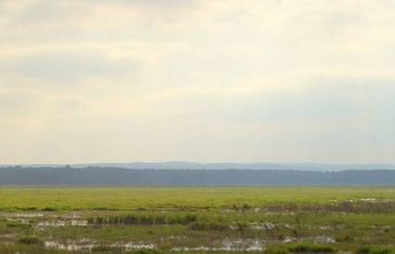 Friedländer Große Wiese