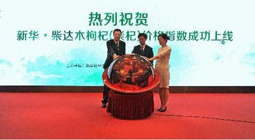 Su Huizhi, Vice President of CEIS (left), Ma Rui, Deputy Secretary General of Qinghai Provincial Government (middle), and Xie Jingui, Deputy Secretary General of Haixi Prefecture Municipal Government (right) jointly release the Xinhua-Tsaidam goji berry price index in Beijing on May 31st.