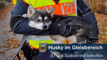 Bild der Bundespolizei