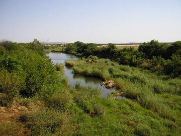 Elefantenfluss bei Groblersdal
Quelle: ieem (idw)