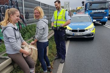 Johanna (l.) und Vera Thuß haben das Schaf aus dem Verkehr gezogen