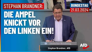 Bild: AfD Deutschland