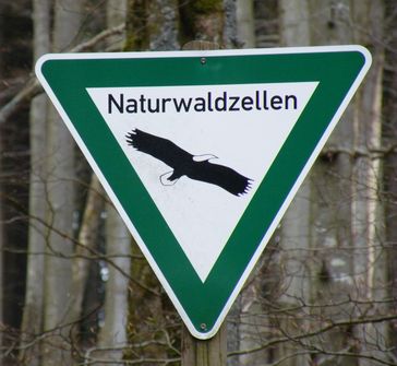 Schild Naturwaldzellen im Naturschutzgebiet Hunau - Langer Rücken - Heidberg