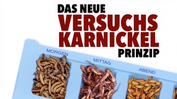 Bild: SS Video: "Das neue Versuchskarnickel-Prinzip" (www.kla.tv/25435) / Eigenes Werk