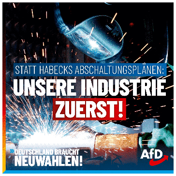 Bild: AfD Deutschland