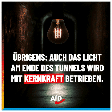 Bild: AfD Deutschland