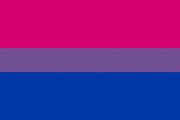 Bisexuelle haben eine Flagge, aber bei Online-Dating keine Lobby. Bild: "obs/Gleichklang Limited"