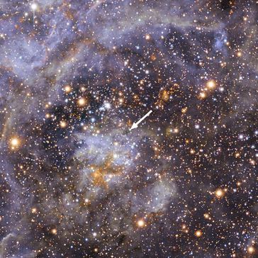 VFTS 102 - der am schnellsten rotierende Stern
Quelle: Bild: ESO/M.-R. Cioni/VISTA Magellanic Cloud survey. Acknowledgment: Cambridge Astronomical Survey Unit (idw)