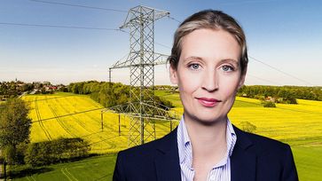 Dr. Alice Weidel (2021)