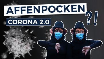 Bild: SS Video: "AFFENPOCKEN – CORONA 2.0?!" (www.kla.tv/22754) / Eigenes Werk