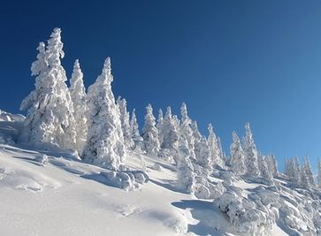Diesen Winter ist es kalt, schneereich und einfach Winter (Symbolbild)