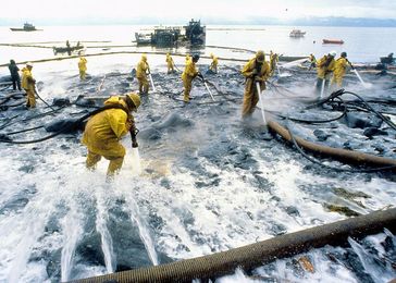 Reinigungsarbeiten nach dem Tankerunglück der Exxon Valdez im Jahr 1989 im Prinz-William-Sund, Alaska. Bild: courtesy of the Exxon Valdez Oil Spill Trustee Council