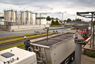 Rapsanlieferung in einer Ölmühle Bild: OVID, Verband der ölsaatenverarbeitenden Industrie in Deutschland e.V. Fotograf: OVID, Verband der ölsaatenverarbeitenden Industrie in Deutschland e.V.