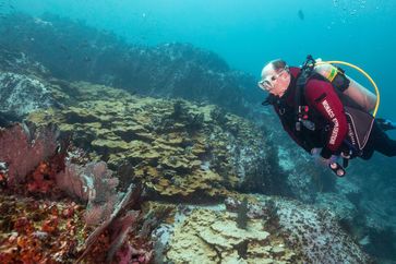 Fürst Albert II. von Monaco schaut sich beim Tauchen den Zustand der Unterwasserwelt an. Bild: "obs/ZDF/Olivier Borde"