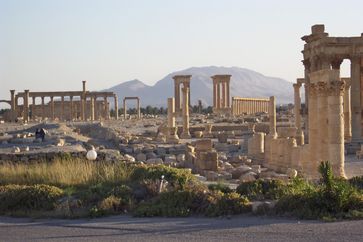 Landschaft in und um Palmyra (2005)