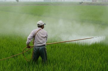 Pestizide (Symbolbild)