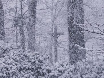 Schneesturm (Symbolbild)