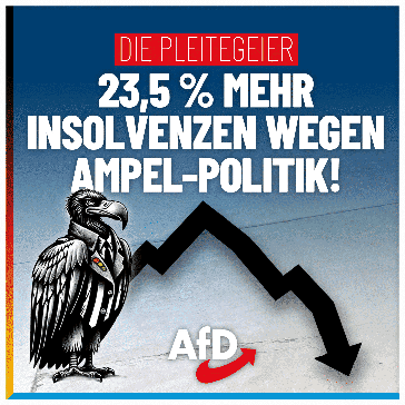 Bild: AfD Deutschland