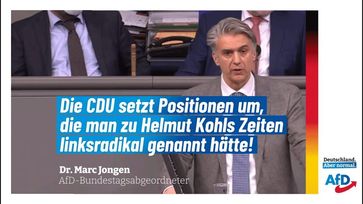 Bild: AfD Deutschland