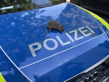 Bild: Polizei