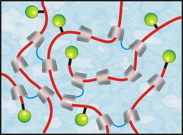 Umweltfreundliche, ringförmige Cyclodextrine aus Maisstärke (grau) bilden die Grundlage des Autolackes, der Kratzer von selbst repariert. Quelle: Universität des Saarlandes (idw)