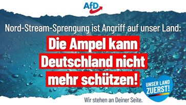 Bild: AfD Deutschland