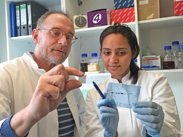 Bei der Auswertung der Ergebnisse: Prof. Dr. Hubert Schorle und Neha Sharma vom Institut für Patholo
Quelle: © Foto: Simon Schneider/Labor Schorle (idw)