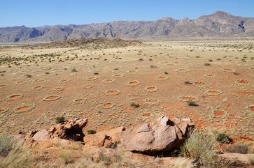 Blick auf die mysteriösen Feenkreise im Marienflusstal in Namibia. Die geheimnisvollen, kahlen Fleck
Quelle: Foto: Stephan Getzin/UFZ (idw)