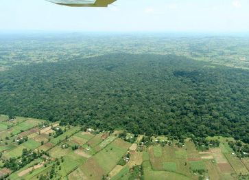Kakamega-Regenwald in Kenia: Aus dem einstmals zusammenhängenden Waldgebiet sind vom Menschen überprägte Waldinseln geworden, zwischen denen Agrarland liegt.
Quelle: Copyright: N. Farwig, BIOTA-E02 (idw)