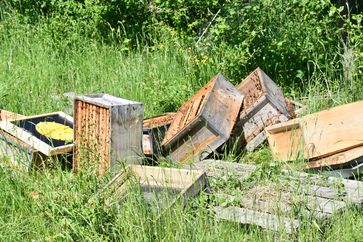 Unbekannte Täter zerstörten einen Bienenstock und entwendeten vier Honigwabenkisten. Bild: Polizei
