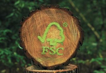Das FSC Zeichen für verantwortungsvolle Forstwirtschaft, nachhaltige und naturnahe Waldwirtschaft, zertifizierte Forstwirtschaft, Bürgerbeteiligung im Wald, Baumstamm mit dem FSC-Logo, Bild: FSC Deutschland).