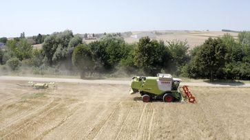 Bild: ZDF und ORF/Neulandfilm Fotograf: ORF/Neulandfilm