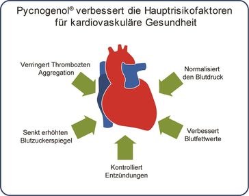 Bild: IFEMEDI / HORPHAG Research Fotograf: HORPHAG Research