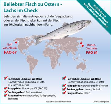 Bild: "obs/Greenpeace e.V."