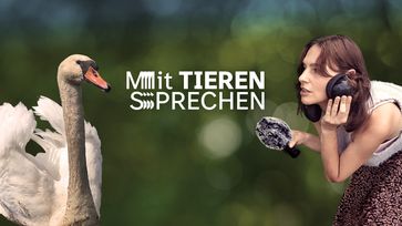 Bild: SWR Fotograf: SWR - Südwestrundfunk